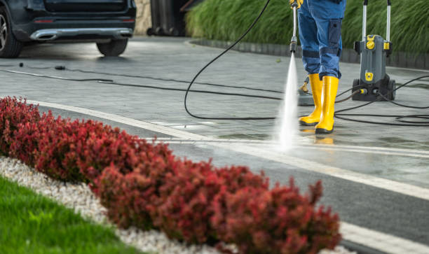 Best Fence Cleaning  in Summersville, WV